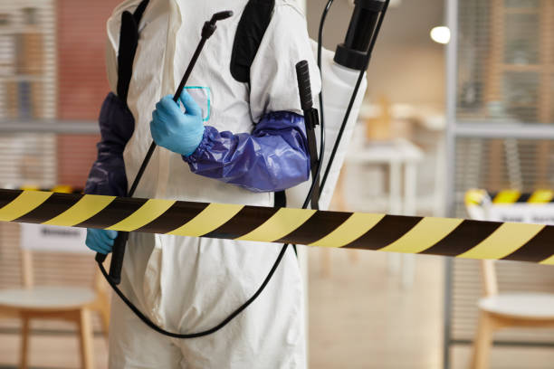 Professional Sewage Cleanup technician working in Swanton, NE